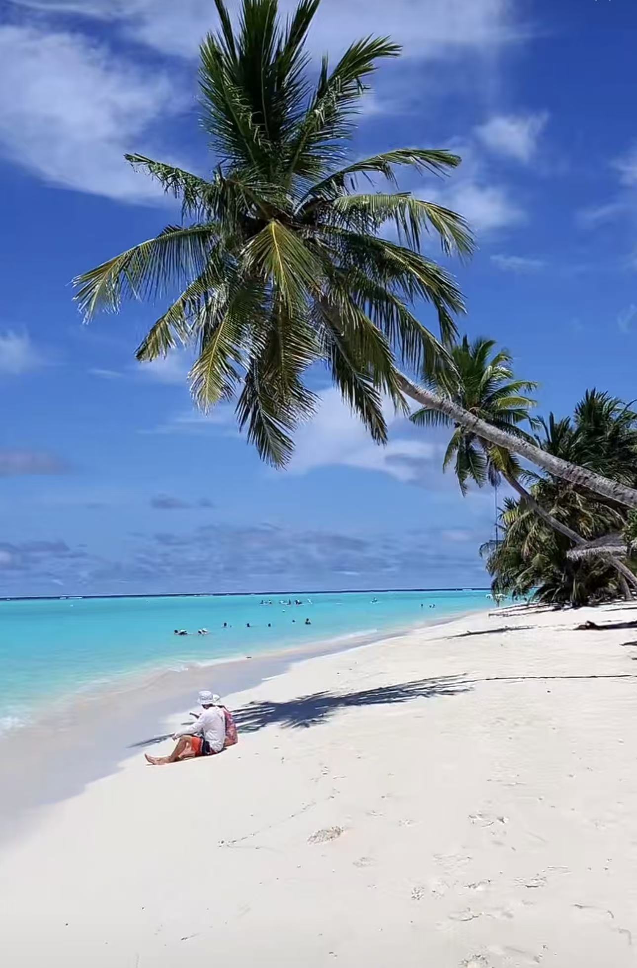 Palm trees beside a white sandy island beach and clear turquoise water.