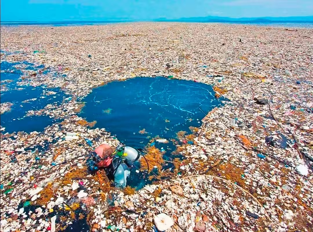 Plastic waste and marine debris floating on the ocean surface.
